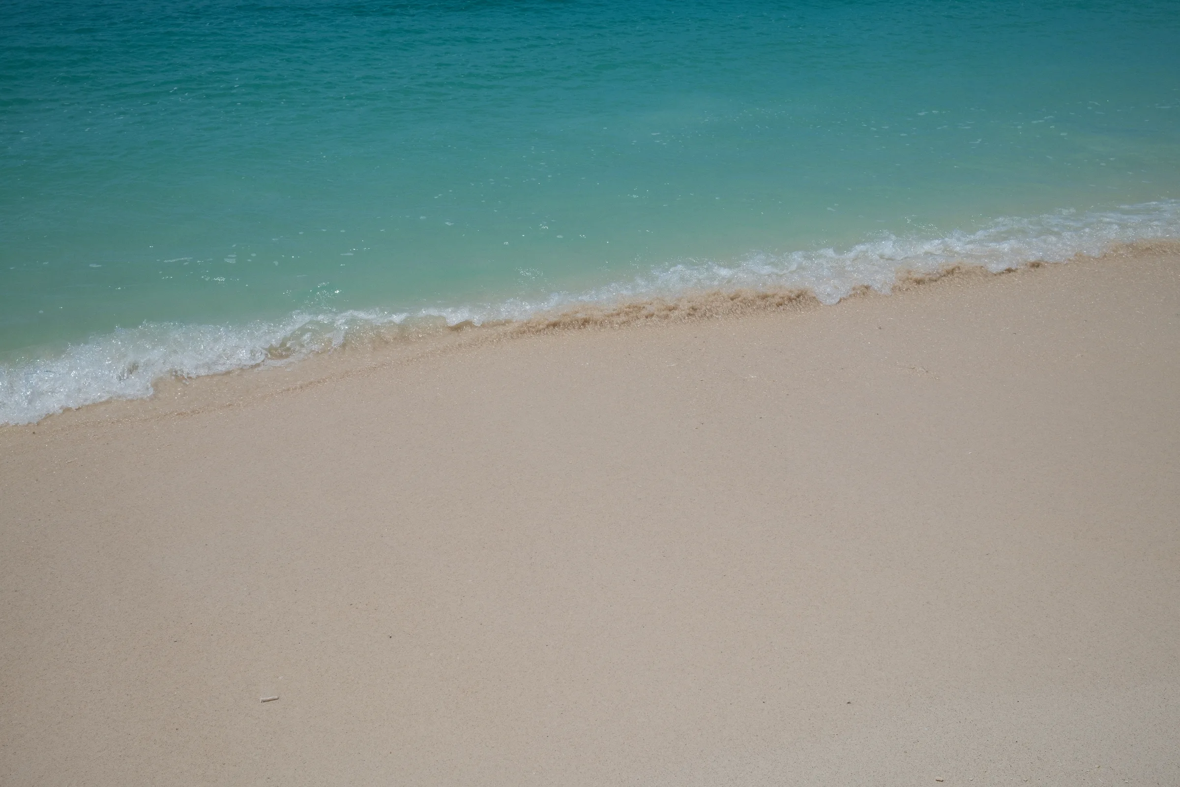 DSCF0514.jpg