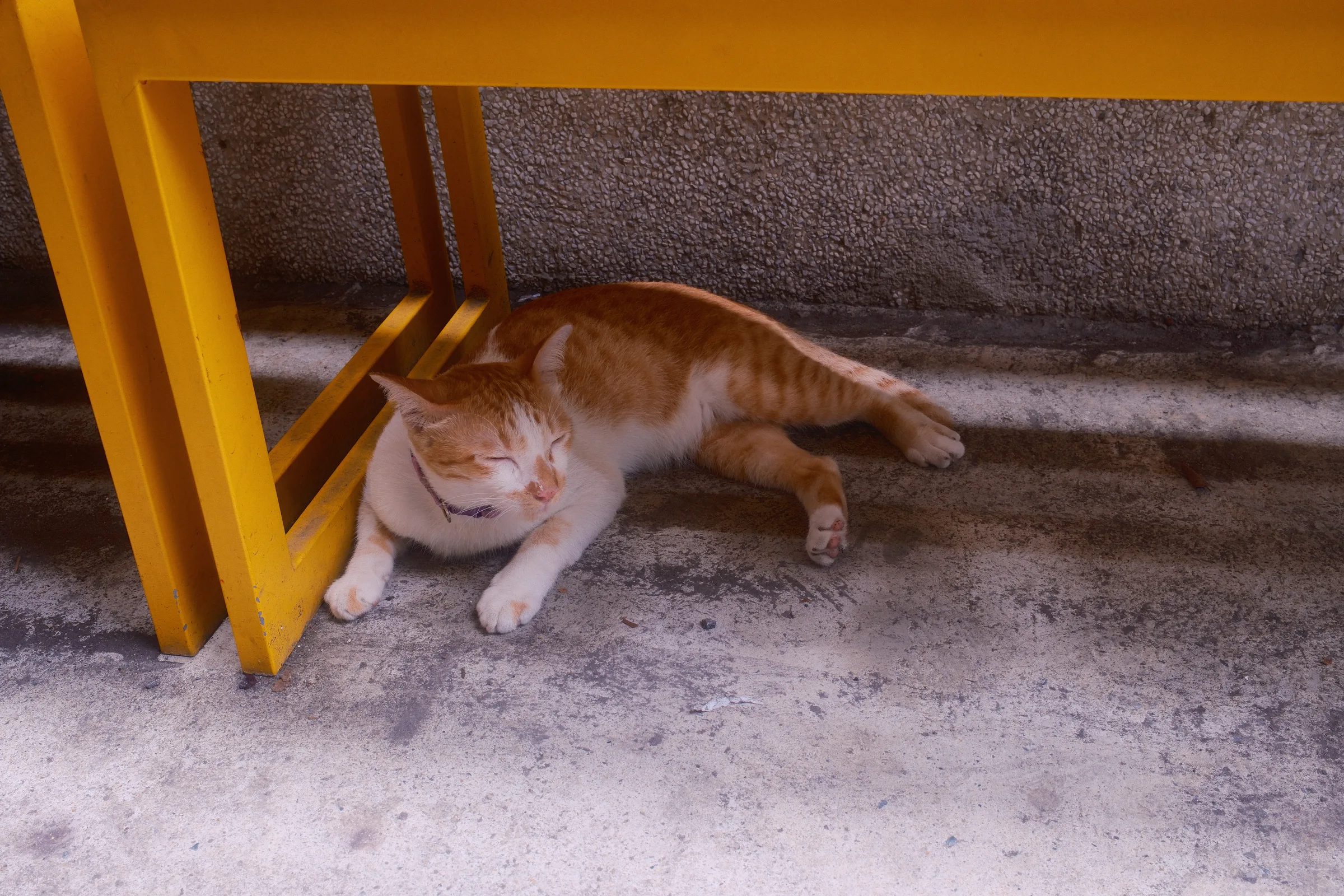 DSCF0335.jpg