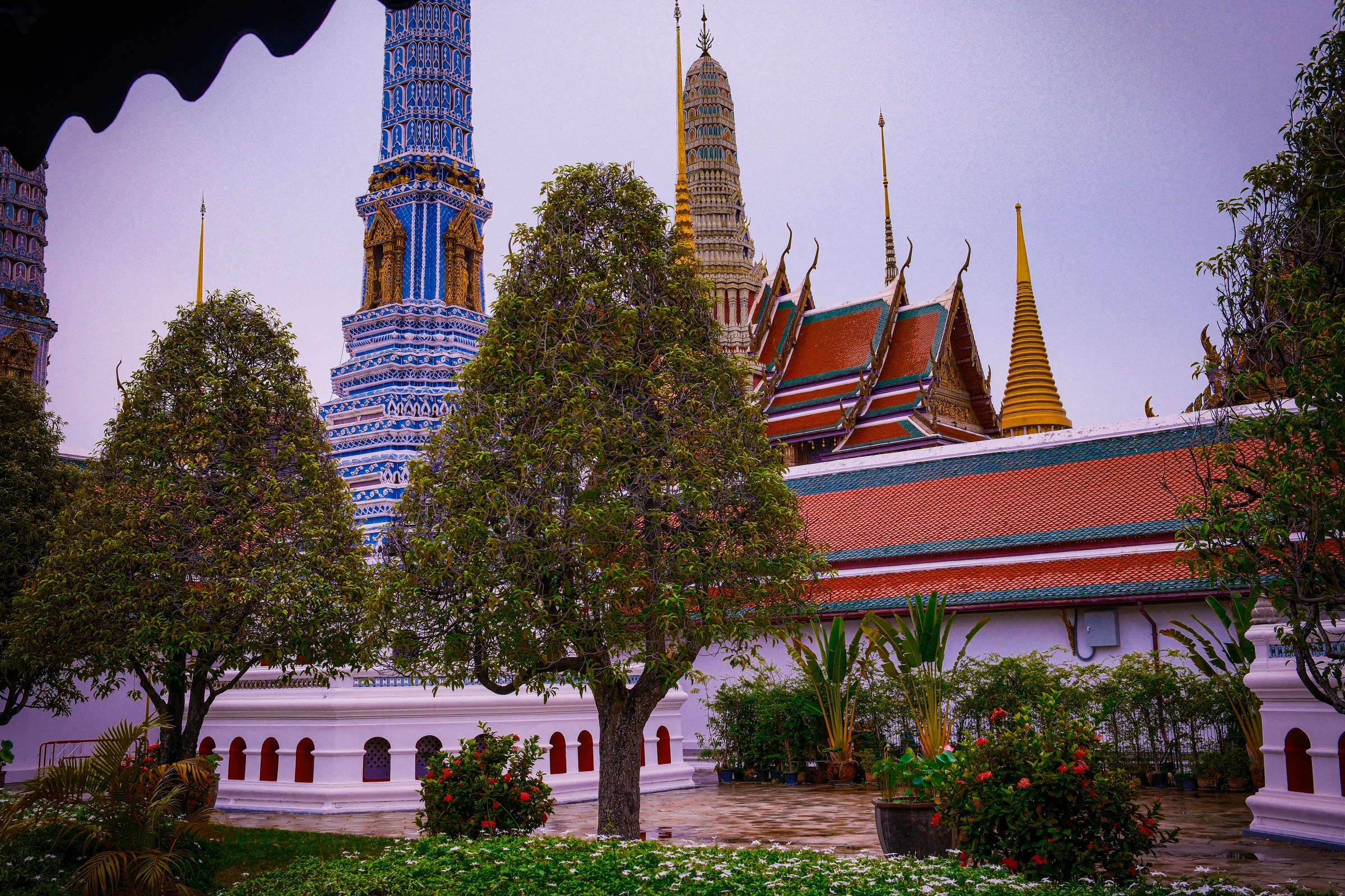 DSCF0213.jpg
